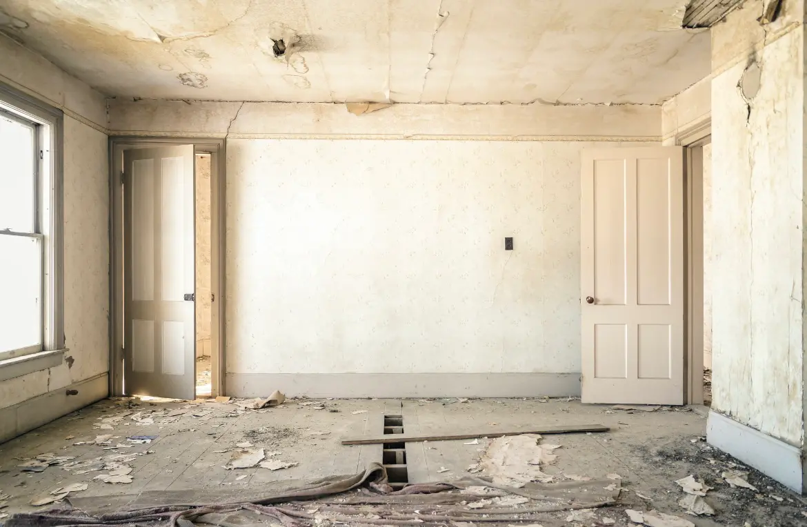 Waste disposal crew managing a cleanout project in Boston